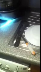 How to get rid of cockroaches in London