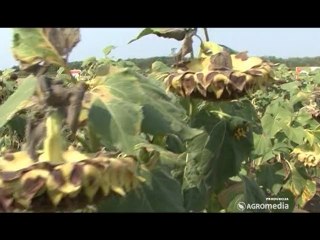 NAPS sastanak UO i odluke koje su doneli_ 340 _22.03.2014.