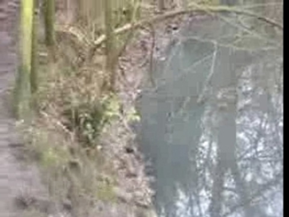 la Chastel Abbaye Cysoing