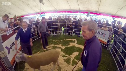 Lambing_Live_Series_3_-_2._Live_Show