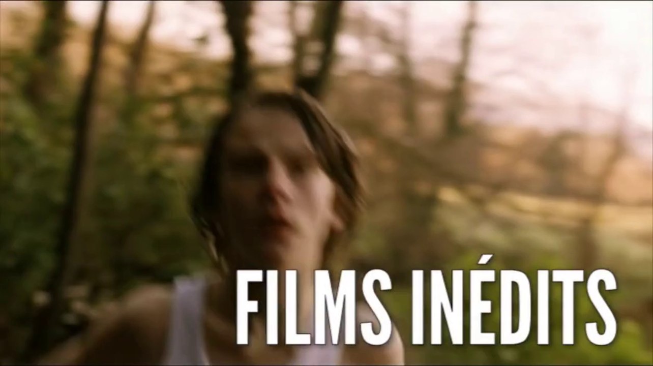 Vannes. XIIIemes Rencontres du Cinéma Européen