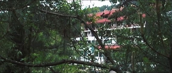 LES FEMMES DE VISEGRAD - Bande-annonce VO