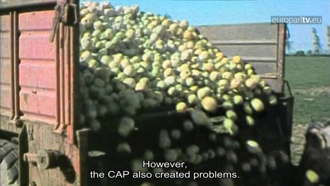 History : The CAP is born