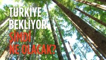 Türkiye Bekliyor Şimdi Ne Olacak Seçim   Sonrası 30 Mart'ta Gün Boyu Canlı Yayın - 2