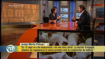 TV3 - Els Matins - Pelegrí: "La sentència del Tribunal Constitucional dóna lliçons"