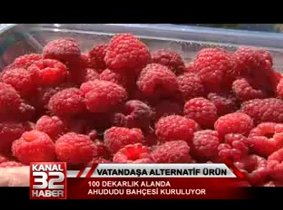 vatandasa alternatif ürün 02 58