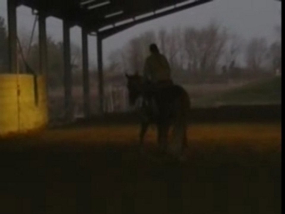 kalmia western