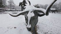 FAKE SNOW IN TEXAS thanks Obama