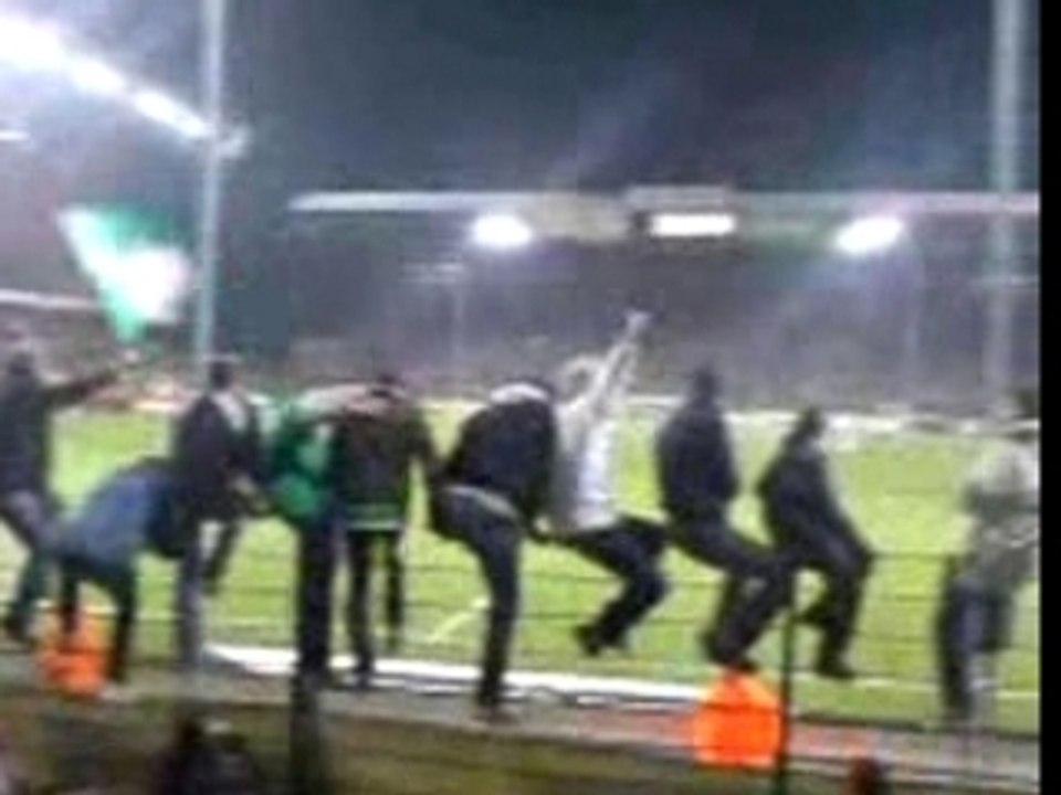Allé les verts