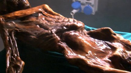 Ölüm Uykusu: Buz Adamın Ölümü