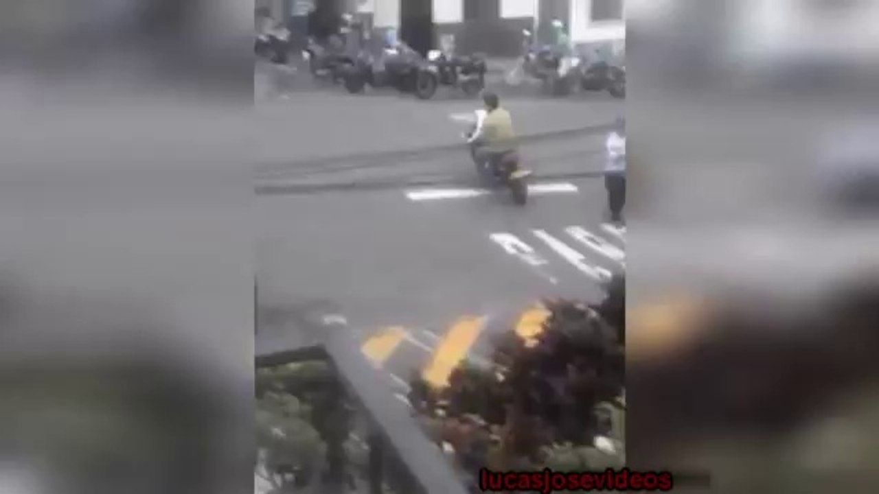 Perro_manejando_moto_Colombia_driving_dog_motorcycle_HD