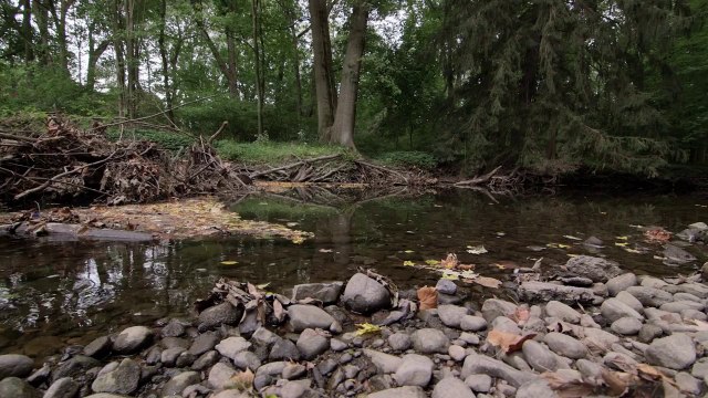 JJ Grey and Mofro - This River