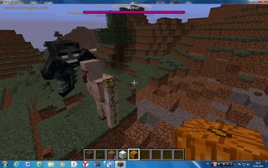 Minecraft oynuyoruz /wether katliyamı