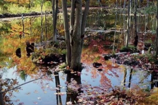 UYAN-YURDAGÜL ÖZAY