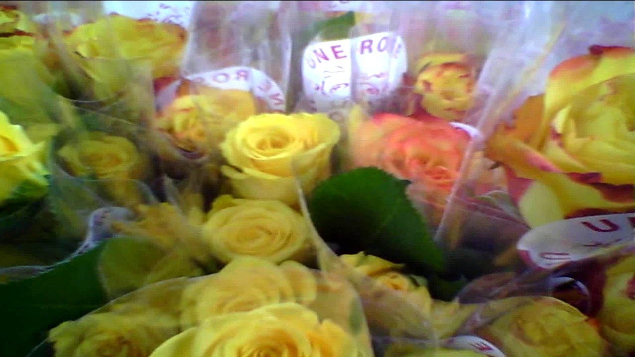 Une Rose Un Espoir 2014 Bande annonce