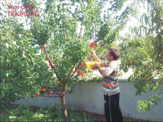 dünden bugüne bendeniz [mustafa kaplan )