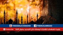 الحياة  مقطع مبكي للشيخ محمد مختار الشنقيطي لا تفوته