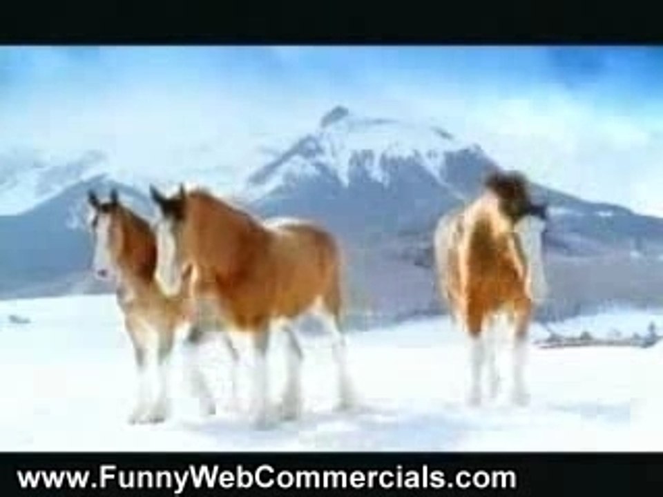 Horses_or_Asses_.flv.avi.avs