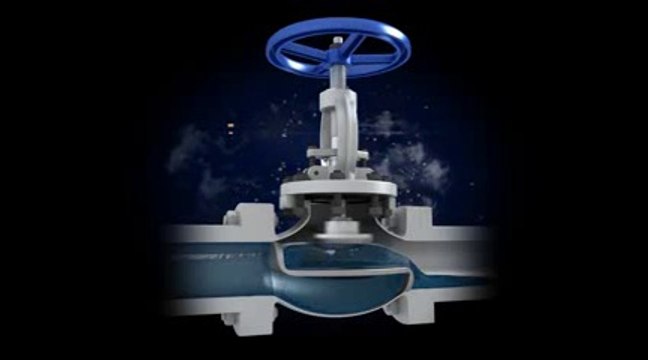 Stainless steel globe valves manufacturers in India