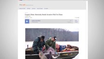 Kentucky Fishery Sending Asian Carp Back to China