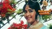 Titli Udi Ud Jo Chali - Greatest Hits of Shankar Jaikishan - Classic Hindi Song - Suraj