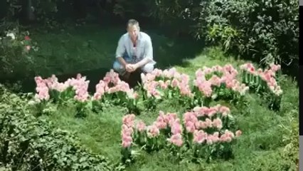 Best Marriage Proposal Ever