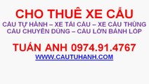 0974914767 CHO THUÊ CẨU TẠI HOÀNG MINH GIÁM