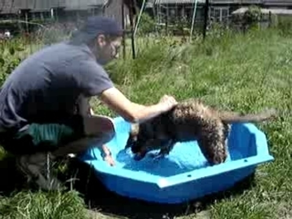 premier bain