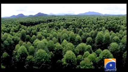 Earth Hour-Promo-28 March 2014