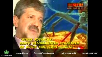 Radyo Dalgalarıyla Beyin Kontrolü