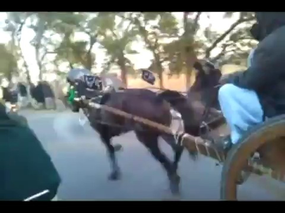 LAL BADSHAH VS COMPUTER VS JHOLY LAL HORSE RACE PART 2