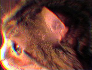 SHINING VICTIMS - Freddy Krueger