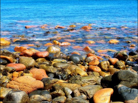 Hymne de la Bretagne — Bro gozh ma zadoù