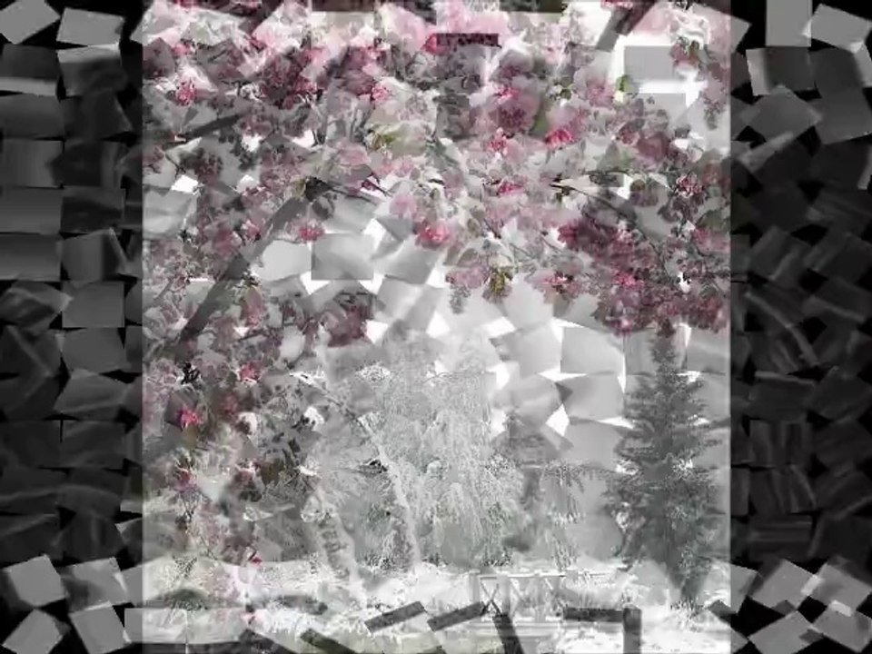 FATİH KISAPARMAK  CANIM BENİM