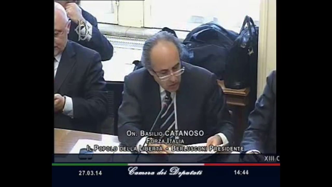 Roma - Audizione Ministro Martina (27.03.14)