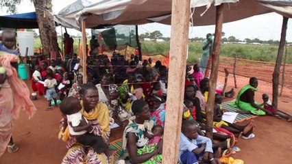 Coordination with the different partners