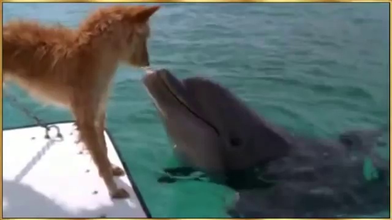 Yunus ile köpeğin dostluğu