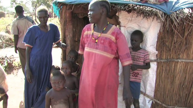 Shelter construction - Distribution of non-food items (NFI) - Site planning