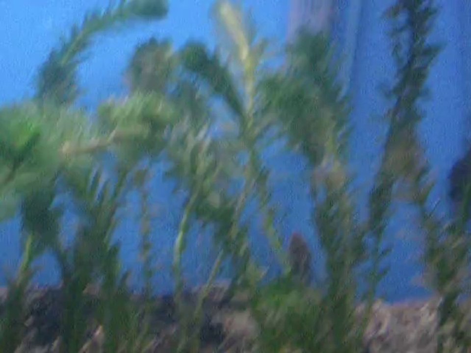 DSCN8877