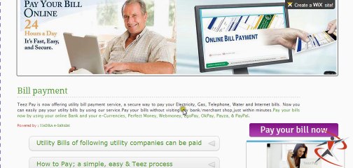 Teez Pay e-currency exchanger