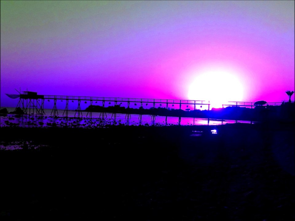 Démence - Alexandra DAda