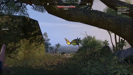 TESO - Artisanat la pêche