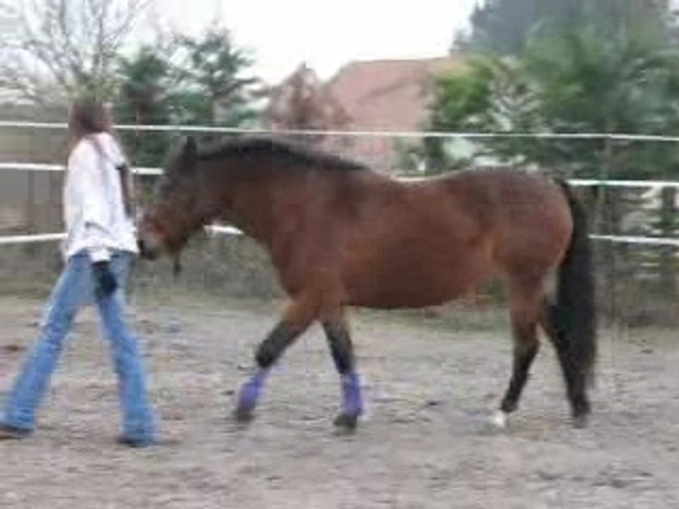 doboulot