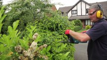 How to Use an Electric Hedge Trimmer Instructional Video by HSS Hire