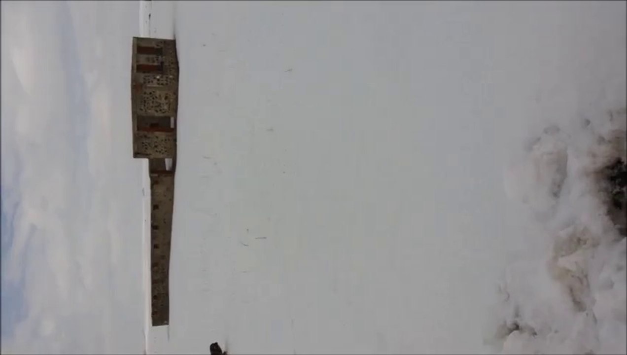 Kars’ta satılık inek, Kars’ta satılık erkek dana, Kars’ta satılık besilik danalar, Kars’ta satılık erkek danalar, Kars’ta satılık her cins büyükbaş hayvanlar, Kars’ta satılık damızlık inekler, Kars’ta satılık besiye yaylıma kurbana kesime