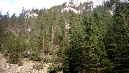 Dolina Kościeliska 1