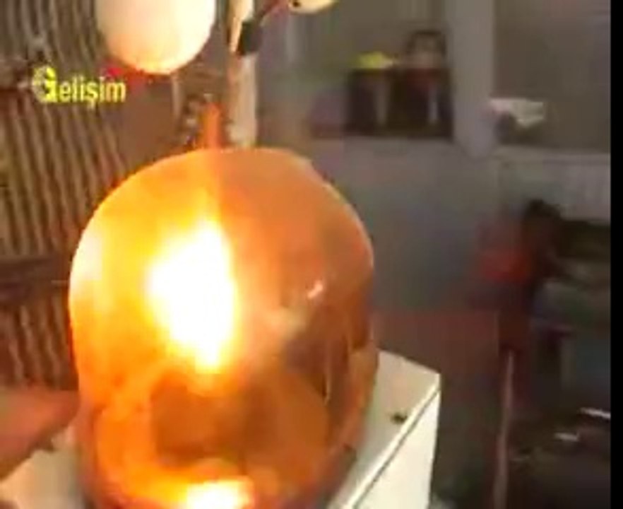Ayı Savar (Türk Zekası, Gelişim Tv)