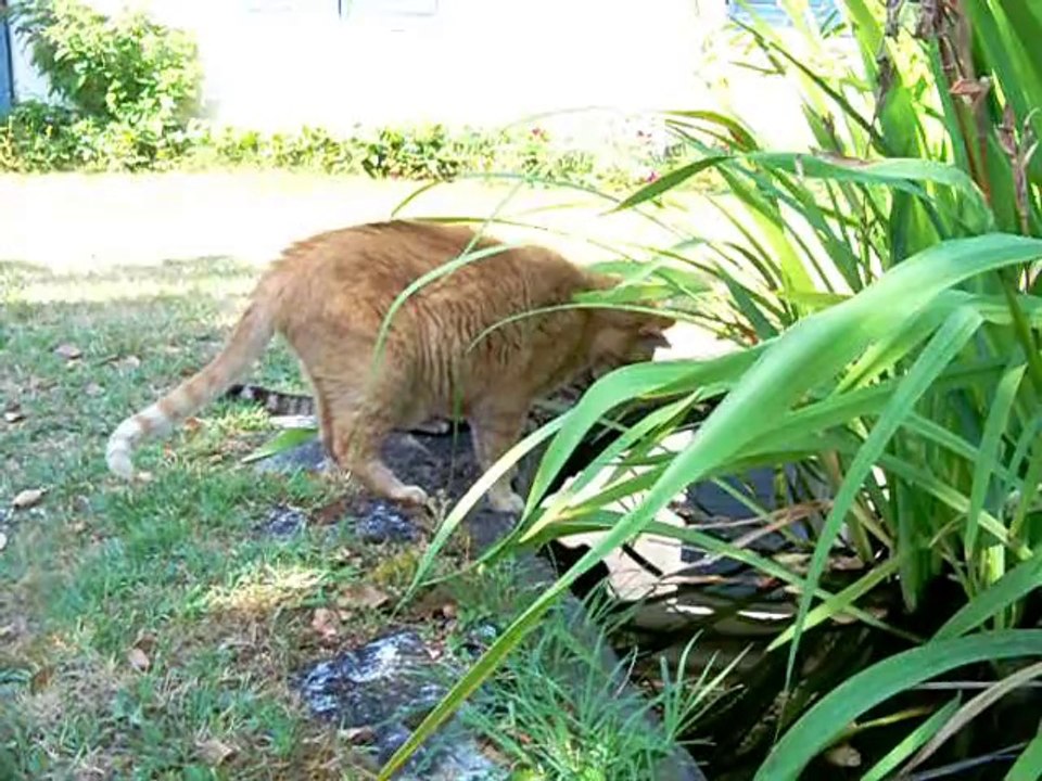 mes instants bonheur