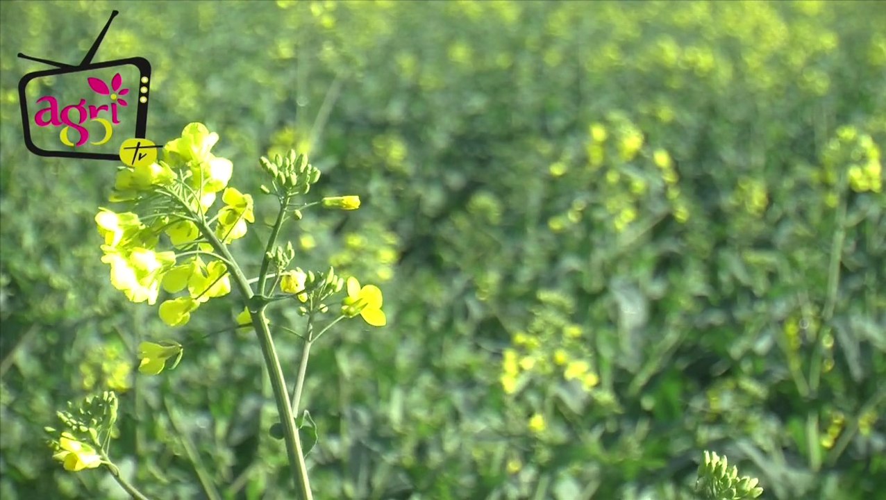 JT agri85TV du vendredi 28 mars 2014