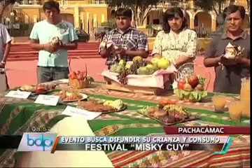 Pachacámac celebra cuarta edición del famoso Festival "Misky Cuy"